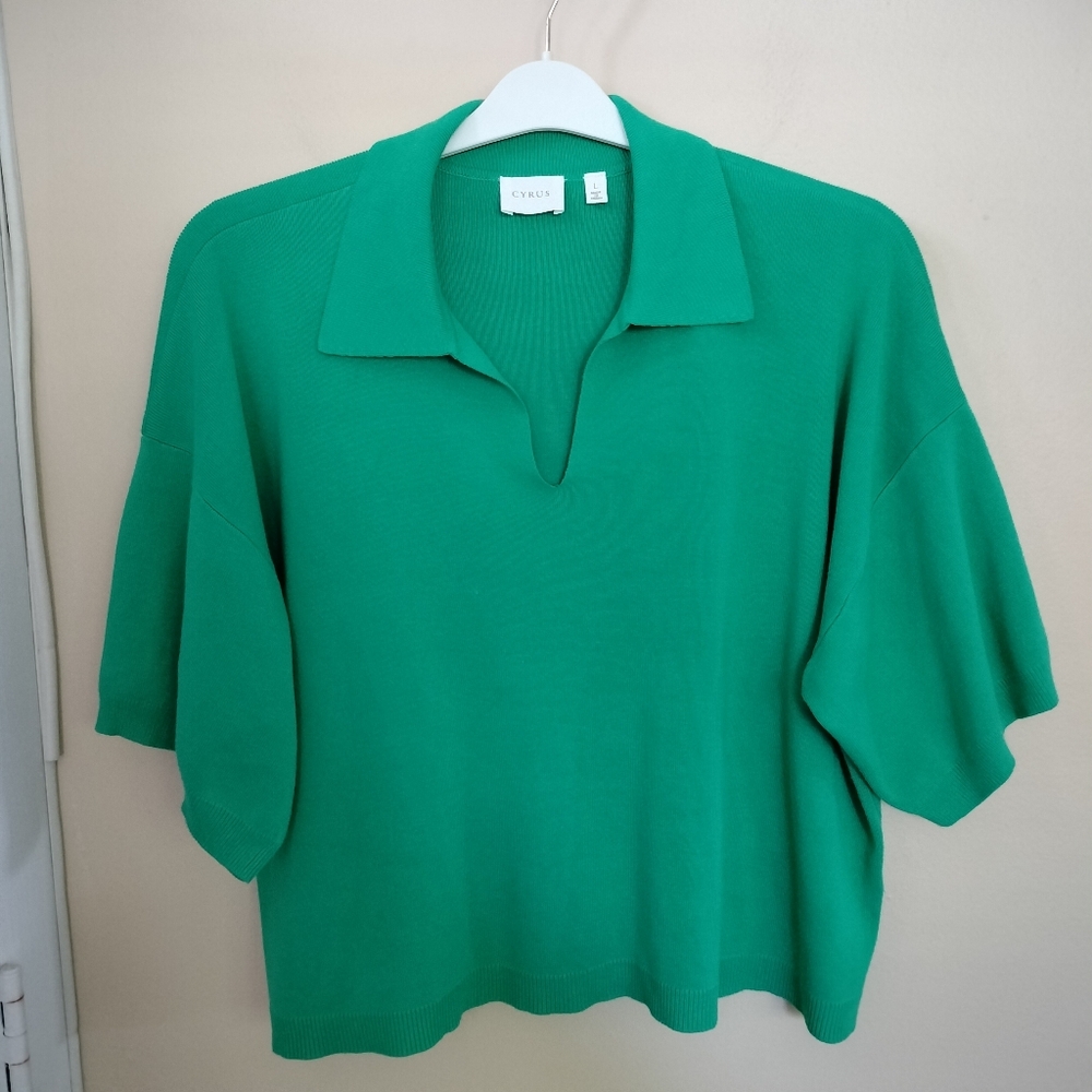 Cyrus Green Knit Sweater Top L Boxy Cropped Stretch Travel Oversized Preppy